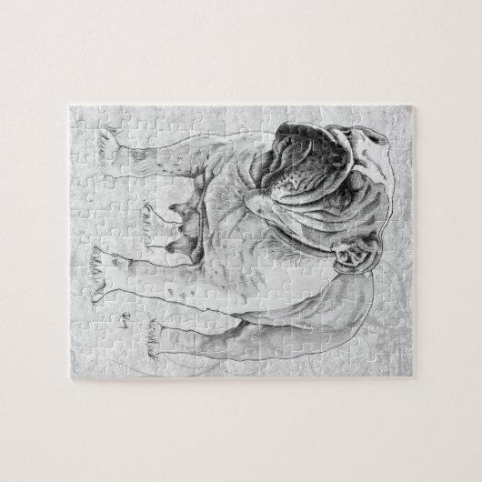 Bulldog Legpuzzel (Horizontaal)