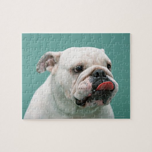 Bulldog Legpuzzel (Horizontaal)