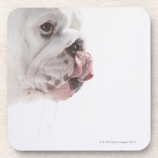 Bulldog Licking Bier Onderzetter (Voorkant)