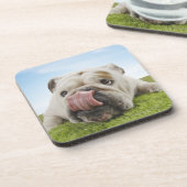 Bulldog Lying on Grass Licking Lips Bier Onderzetter (Linkerzijde)