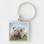 Bulldog Lying on Grass Licking Lips Sleutelhanger (Voorkant)