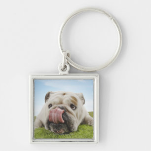 Bulldog Lying on Grass Licking Lips Sleutelhanger