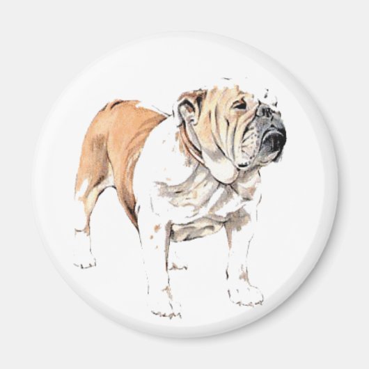 Bulldog magneet (Voorkant)
