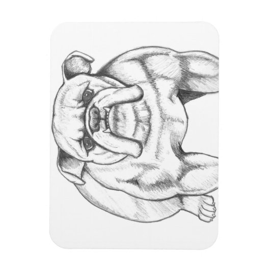 Bulldog magneet (Verticaal)