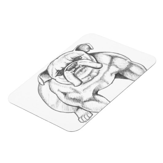 Bulldog magneet (Linkerzijde)