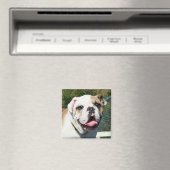 Bulldog magneet (Insitu (Vaatwasser))