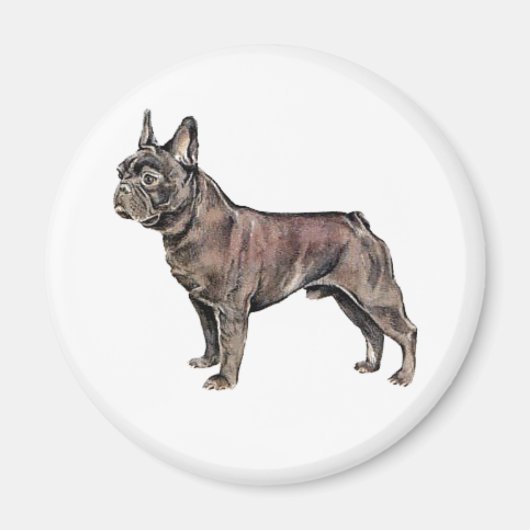 Bulldog magnet (Voorkant)