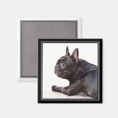 Bulldog magnet (Voorkant / Achterkant)