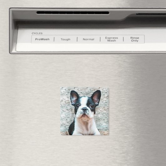 Bulldog magnet (Insitu (Vaatwasser))