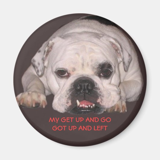 Bulldog Magnet (Voorkant)