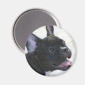 Bulldog magnet (Voorkant / Achterkant)