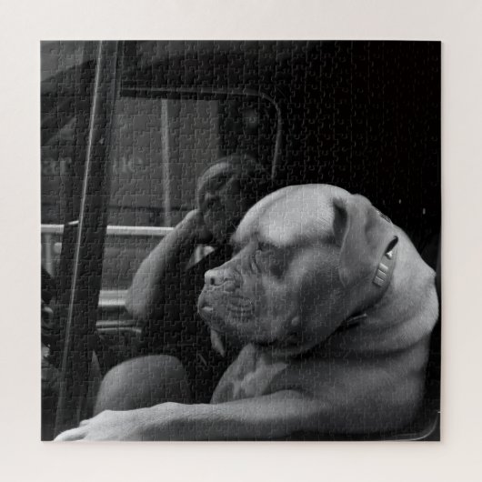 Bulldog Mastiff achter het stuur Zwart & Wit Legpuzzel (Verticaal)