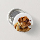 Bulldog met bril - Button (Voorkant /achterkant)