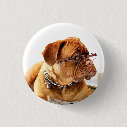 Bulldog met bril - Button (Voorkant)