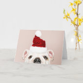 BULLDOG MET EEN WENSKAART VAN Santa hat Kaart (Gele Bloem)