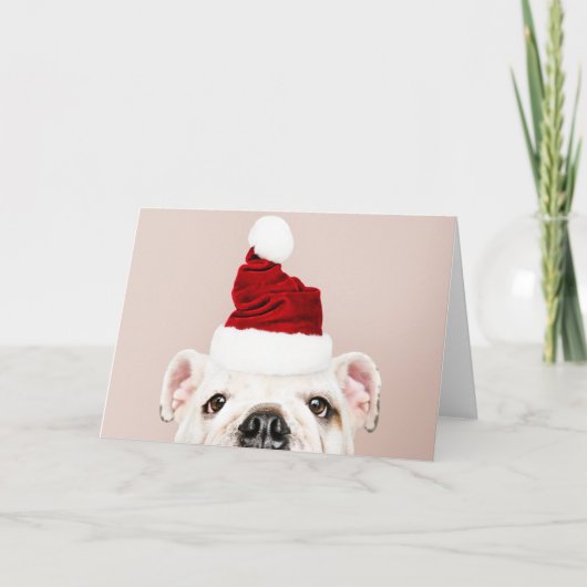 BULLDOG MET EEN WENSKAART VAN Santa hat Kaart (Voorkant)
