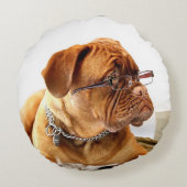 Bulldog met glazen ronde kussen (Achterkant)