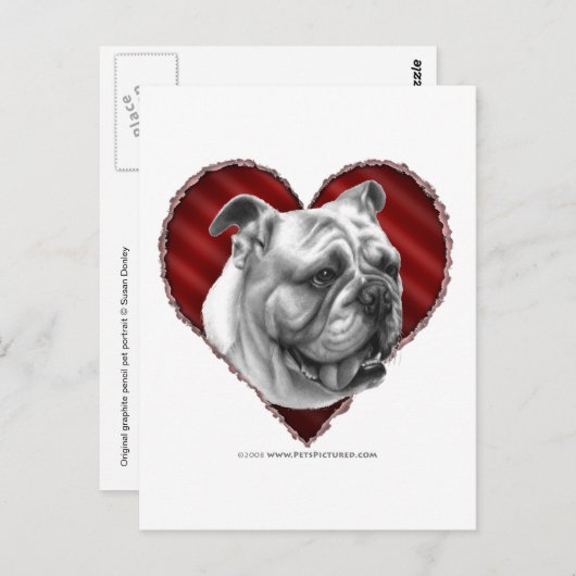 Bulldog met hart briefkaart (Voorkant / Achterkant)