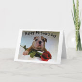 BULLDOG MET ROOS IS VOL LIEFDE OP MOEDERDAG KAART (Voorkant)