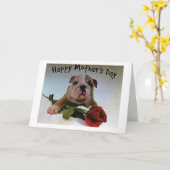 BULLDOG MET ROOS IS VOL LIEFDE OP MOEDERDAG KAART (Gele Bloem)