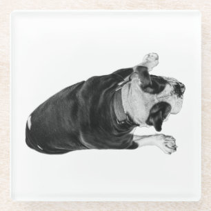 Bulldog met vrolijke uitdrukking glazen onderzetter