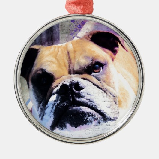 Bulldog Metalen Ornament (Voorkant)