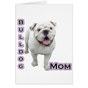 Bulldog Moeder 4