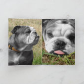 bulldog-moederdag kaart (Binnen)