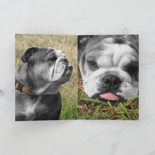 bulldog-moederdag kaart (Binnen)