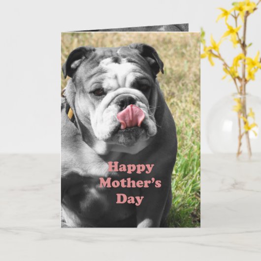 bulldog-moederdag kaart (Gele Bloem)