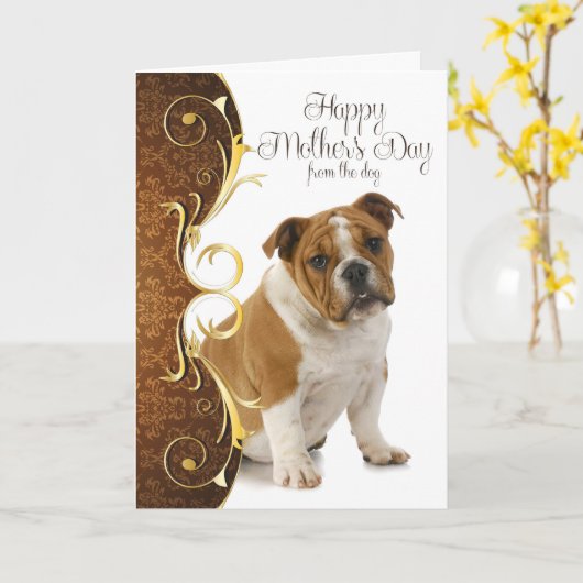 Bulldog Moederdag Kaart (Gele Bloem)