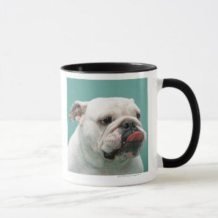 Bulldog Mok