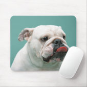Bulldog Muismat (Met muis)