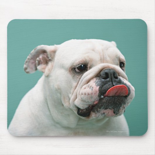 Bulldog Muismat (Voorkant)
