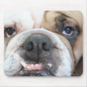 Bulldog Muismat (Voorkant)