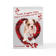 Bulldog nieuwe puppy nummer drie - je hebt post!