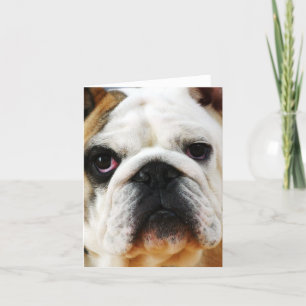 Bulldog Note Card Kaart