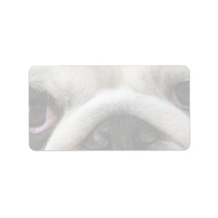 Bulldog Ogen Etiket