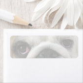 Bulldog Ogen Etiket (Insitu)