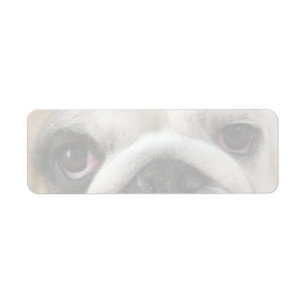Bulldog Ogen Etiket