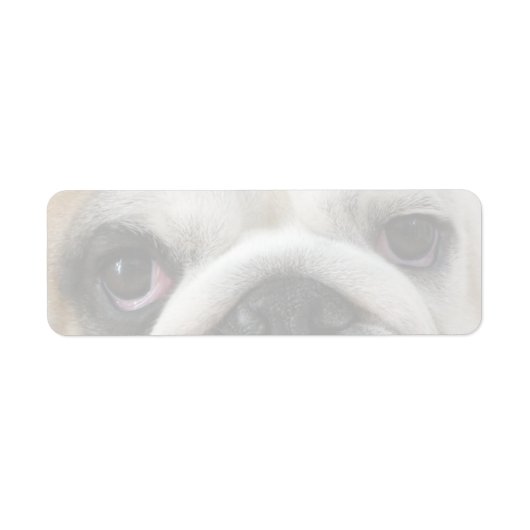 Bulldog Ogen Etiket (Voorkant)