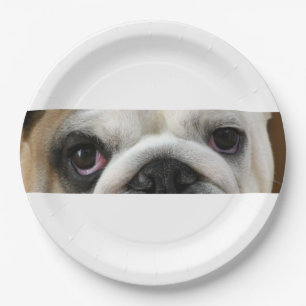 Bulldog Ogen Papieren Bordje