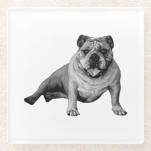 Bulldog Ontspanning Moment Glazen Onderzetter (Voorkant)