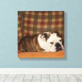 bulldog op een bank canvas afdruk (Insitu (Houten vloer))