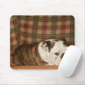 bulldog op een bank muismat (Met muis)