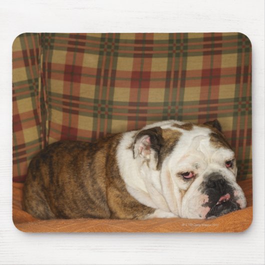 bulldog op een bank muismat (Voorkant)