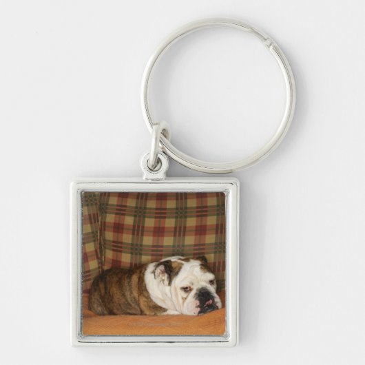 bulldog op een bank sleutelhanger (Voorkant)