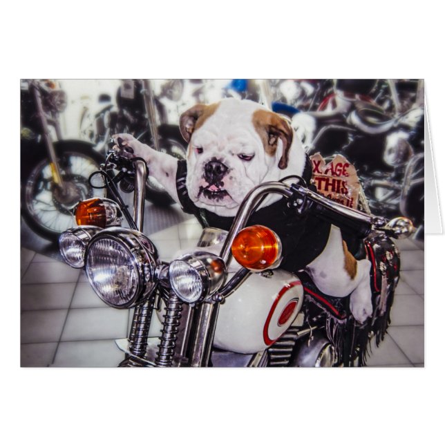 Bulldog op motorfiets (Voorkant Horizontaal)