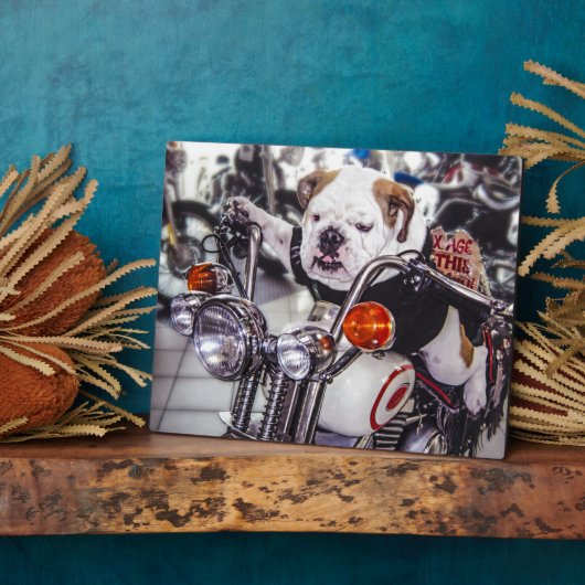 Bulldog op motorfiets fotoplaat (Zijkant)