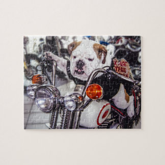 Bulldog op motorfiets legpuzzel